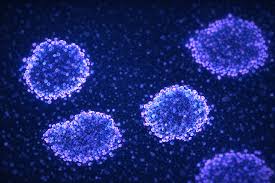 世界初のiPS細胞製品承認